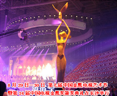 2008（第七届中国金鹰电视艺术节颁奖典礼在长沙举行）